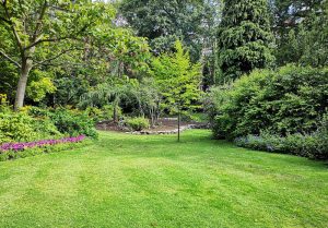 Optimiser l'expérience du jardin à Blodelsheim